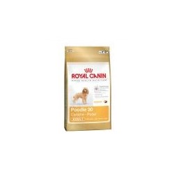 Royal Canin Poodle 30  0.5kg