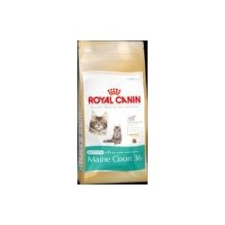 Royal Canin Kitten Maine...