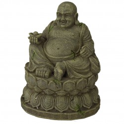 Buddha Aquariendeko