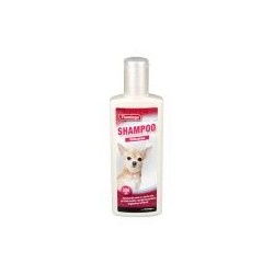 Shampoo für Chihuahua sehr...