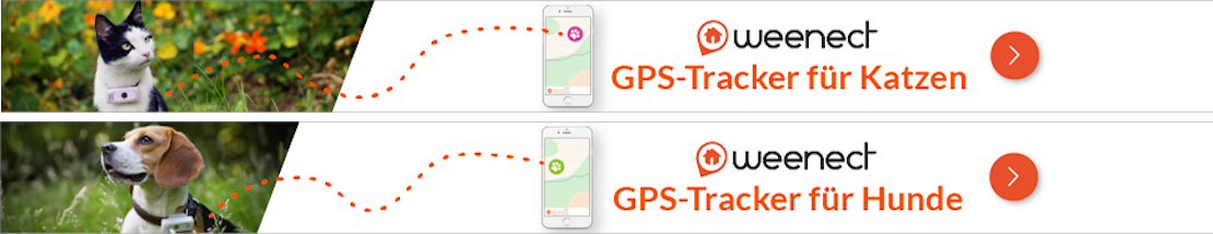 Weenect GPS Tracker